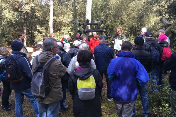 Dans le cadre de la Journée Internationale des forêts on pouvait découvrir avec des guides celle de Notre-Dame-de-Monts en Vendée