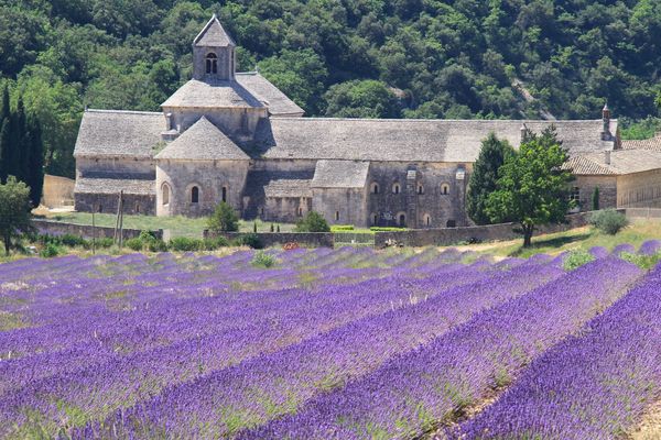 La Provence a été classée la 5° plus belle destination en Europe par le guide touristique Lonely Planet