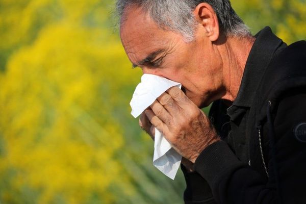 Eternuements, nez qui coule… Le risque d'allergie aux pollens est classé "élevé" ou "très élevé", selon les départements franciliens (illustration).