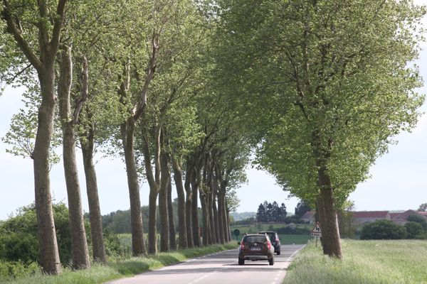 Deux accidents mortels en deux jours sur les routes de l'ex région Languedoc-Roussillon : Un homme est décédé après avoir heurté un platane à Cazouls-les-Béziers (Hérault), vendredi 15 novembre 2024. Dans le Gard, un piéton fauché par une voiture à Marguerrites, jeudi 14 novembre 2024, n'a pas survécu.