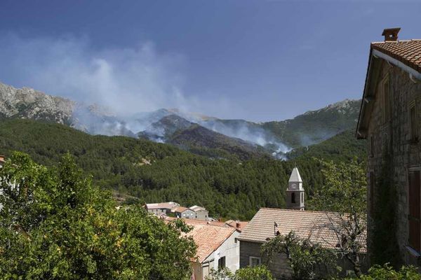 Photo d'un incendie près de Palneca, en Corse du Sud, le 3 août dernier.