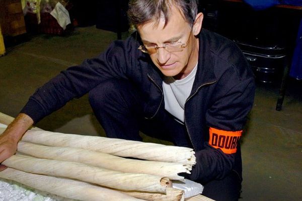 Les douanes françaises font de la lutte contre le trafic d'ivoire une priorité comme lors de cette saisie, à l'aéroport de lyon en 2007.