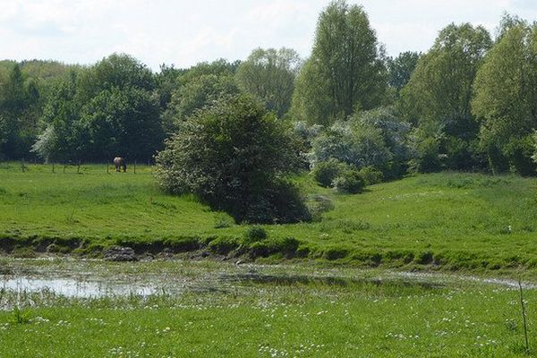 Après la pluie, un peu de beau temps. Pas sûr du tout, répond Météo France.