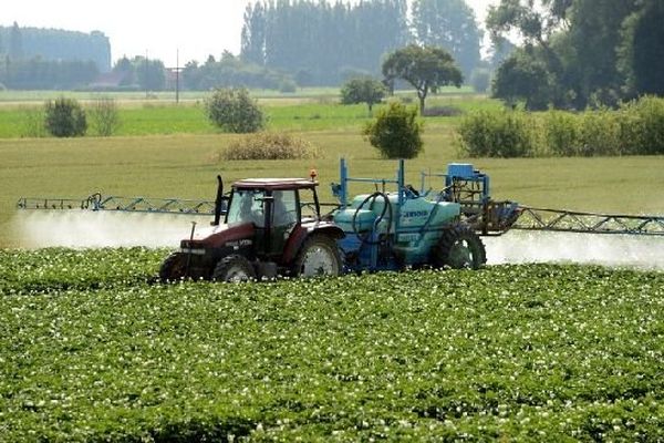 Le code rural prévoit une distance de sécurité de 50 mètres lors de l'épandage de pesticides près des écoles, crèches et maisons de retraite.