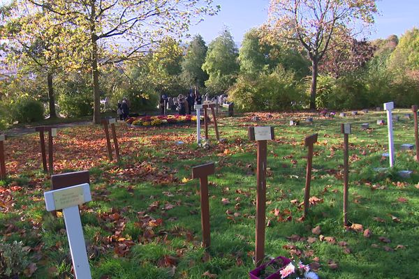 Depuis 2006, 655 personnes ont été inhumées au Jardin de la mémoire, dans le cimetière de l'Ouest de Rouen (Seine-Maritime)