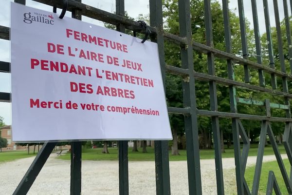 Le parc de Foucaud est fermé au public par mesure de sécurité à Gaillac dans le Tarn : des arbres, malades, représentent un danger.