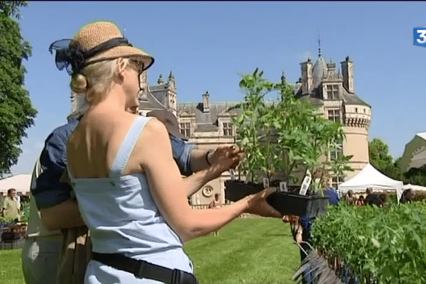 Jardiniers aux château du Lude