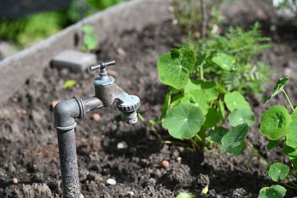 3 niveaux de restrictions d'eau peuvent être activés en France lors de la sécheresse.