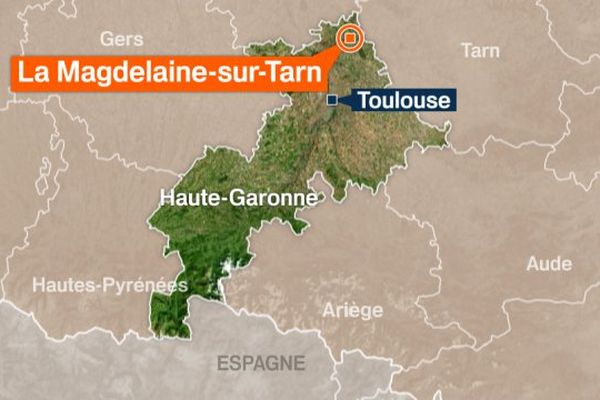 À La Magdeleine-sur-Tarn, en Haute-Garonne, plusieurs arbres sont tombés sur des lignes électriques à la suite de l'orage.