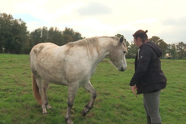 C'est dans cette prairie qu'Altesse de la Serre a été tuée par le tir d'un chasseur.