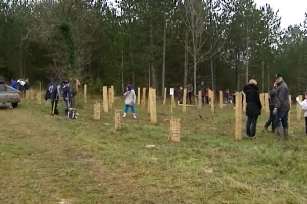 Les enfants de l'école communale de Savigny-lès-Beaune ont participé à la dernière étape de replantation de cette forêt