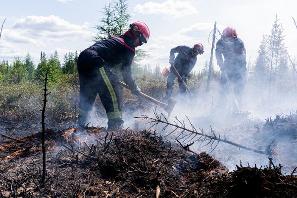 Les méga-feux qui touchent le Canada, depuis plus de trois mois, ont ravagé plus de 13 millions d'hectares.