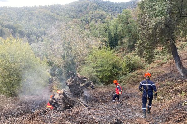 Le feu qui s'est déclaré, mercredi 20 novembre, près du village de Pietra-di-Verde a détruit 22 hectares de végétation.