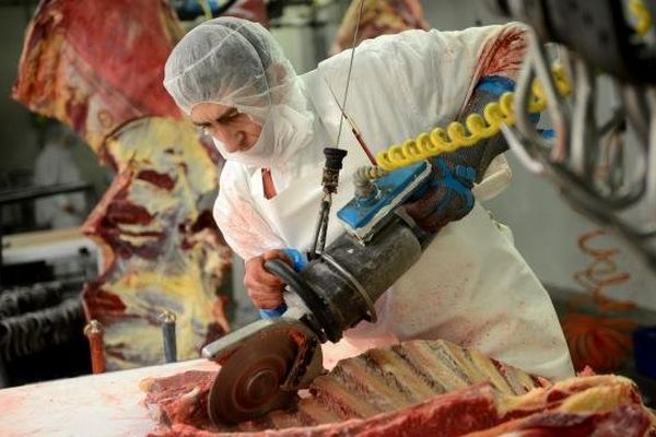 Un ouvrier travaille dans l'un des abattoirs d'une société roumaine exportatrice de viande chevaline en Europe, le 12 février 2013