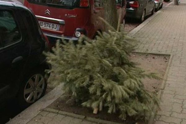 Il est interdit d'abandonner son sapin sur le trottoir