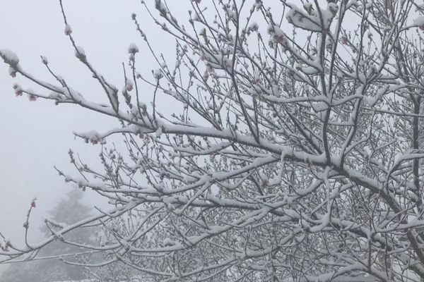 Quelques flocons dans le sud de la France, de l'Aquitaine à l'Occitanie. 