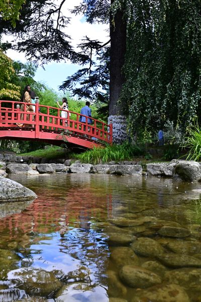 Le jardin Albert Kahn à Boulogne-Billancourt (Hauts-de-Seine)