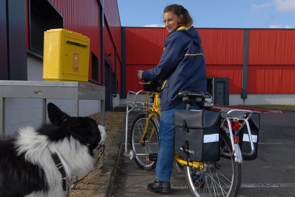 Les facteurs appréhendent souvent l'entrée dans une propriété si celle-ci abrite un chien (ici une factrice à Saint-Jean-de-la-Ruelle (Loiret), photo d'illustration)