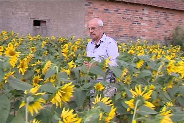 Philippe Allaire, agriculteur à Dampierre-en-Burly (Loiret)