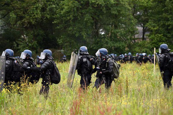 Gendarmes dans un champ de la ZAD