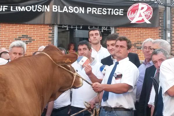 Gloria a été acquise par la boucherie du Limousin à Paris.