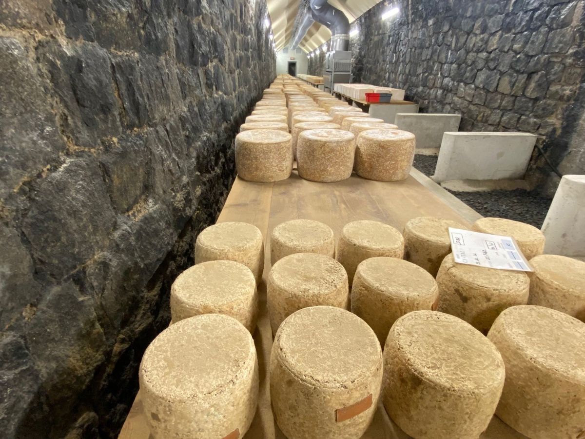 VIDÉO. Des fromages affinés dans un ancien tunnel ferroviaire en Corrèze