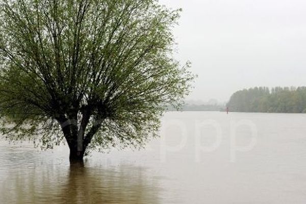 Les départements de l'Ain et de la Drôme restent en alerte orange aux orages et aux inondations ce dimanche 28 juillet. Les pompiers de l'Ain ont réalisé dans la nuit de ce samedi à dimanche près de 80 interventions pour inondations sur une trentaine de communes du département.