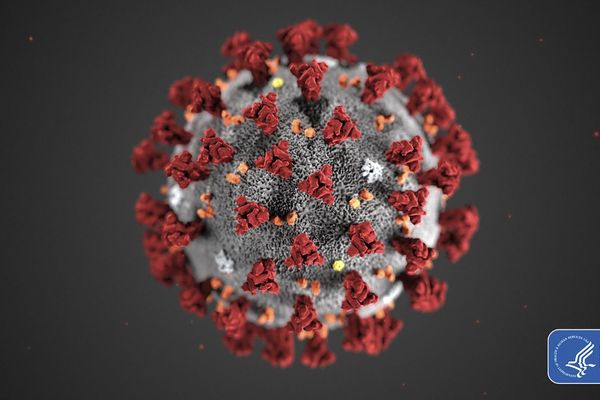 Une image obtenue par le Centre pour le contrôle et la prévention des maladies, révélant la morphologie du nouveau coronavirus.