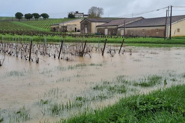 En Gironde, près de Tauriac, des habitations se retrouvent les pieds dans l'eau.