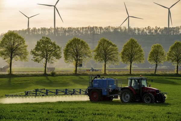 Des scientifiques strasbourgeois ont cherché la présence de pesticides, de métaux et de Pfas dans plus d'un millier d'échantillons de tissus tumoraux et péritumoraux.