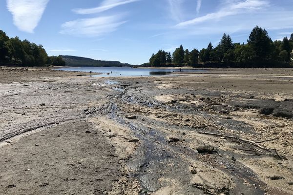 La baisse du niveau du lac de Vassivière est déjà impressionnante.