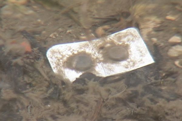 Les emballages de médicaments sont les déchets les plus courants que l'on retrouve dans la rivière en provenance de la centrale de Clairvaux.