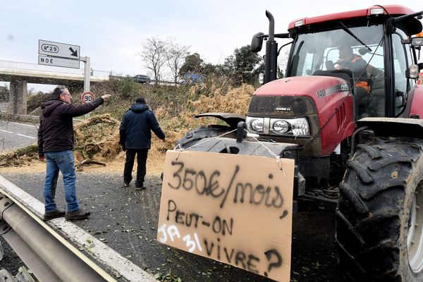 Depuis huit jours, les agriculteurs d'Occitanie bloquent les échangeurs d'autoroute.