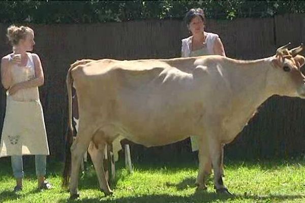 Si les vaches étaient à la fête ce dimanche à Saint-Mère-Eglise (Manche), ce n'est pas vraiment le cas de la profession au quotidien...