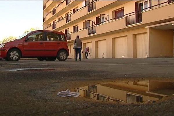 Une septuagénaire et son chien tués dans le quartier des Hauts de Montchovet, à Saint-Etienne.