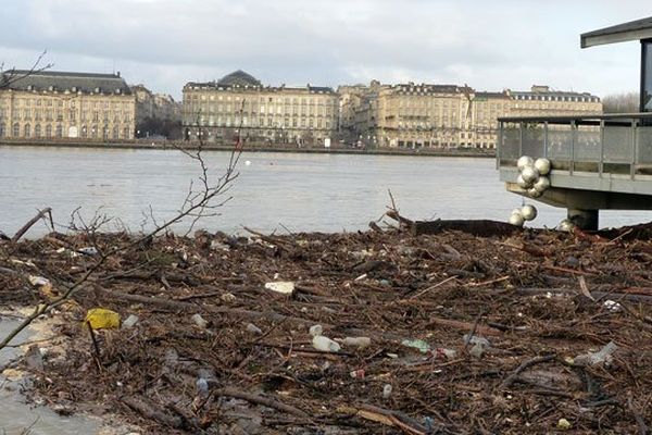 La Garonne a charrié de nombreux déchets comme ici devant le restaurant sur pilotis du Quai de Queyries à Bordeaux, le 2 février 2014