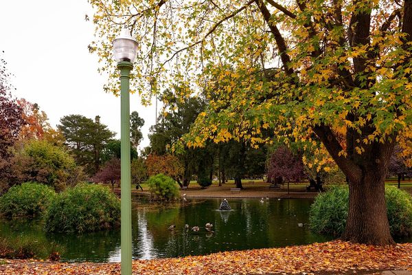 les feuilles mortes se ramassent à la pelle.