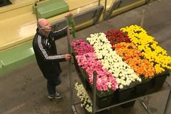 Marché aux fleurs de Hyères lundi à 5h du matin