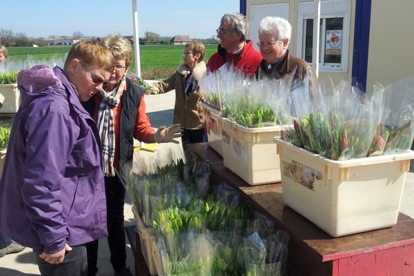 Les bénévoles récoltent un don en échange d'un bouquet de tulipes