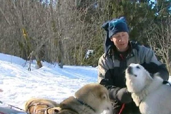 Des chiens de la meute "Scoobeedoo".