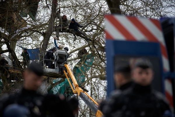 Le rapporteur spécial de l'ONU, qui s'est rendu sur le site des opposants au chantier de l'A69, porte une charge sévère sur le maintien de l'ordre.