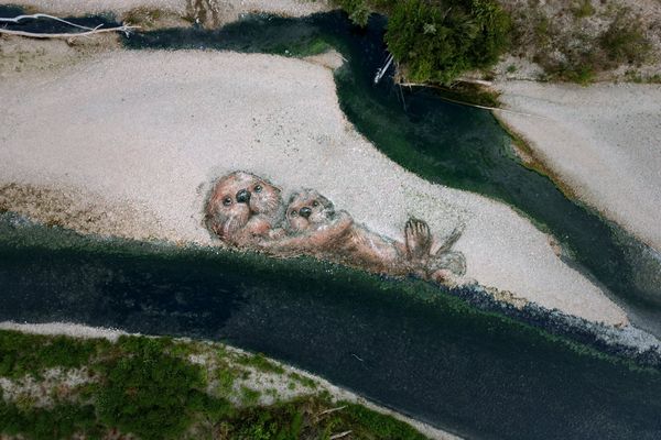 Une loutre et son petit,  dessinés sur les galets de la Drôme, visibles uniquement lorsqu'on vole...