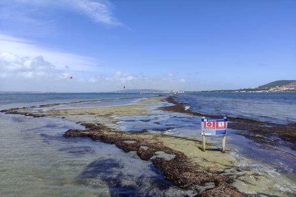 Lido de Thau (Hérault) - les panneaux d'interdiction de mouillage et de navigation sur les tocs - 2022.