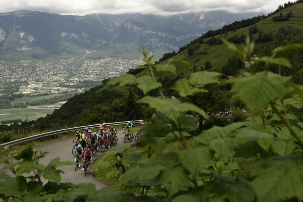 Les coureurs du critérium du Dauphiné près de La Combe-de-Lancey (Isère) le 8 juin 2018.