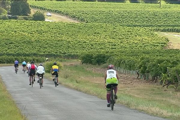 La Semaine fédérale du cyclotourisme réunit près de 10 000 cyclistes sur les routes de Charente et de Charente-Maritime.