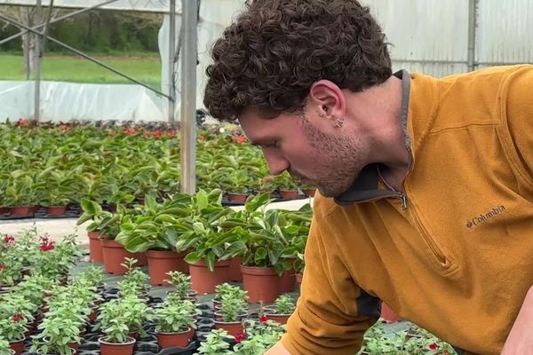 Jean-Rémi Magne, 23 ans,a pris la tête de l'entreprise dans laquelle il a commencé comme stagiaire.