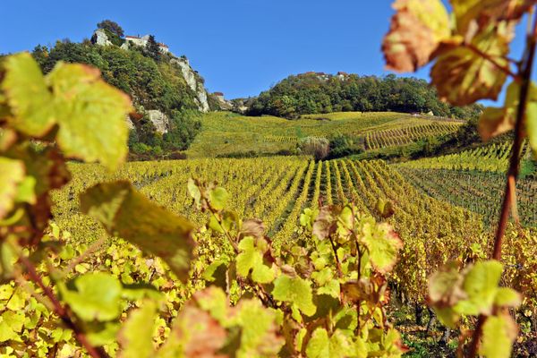 Château-Chalon dans le vignoble du Jura.