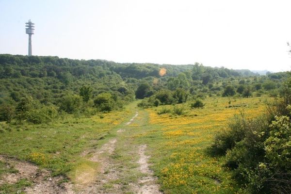 Le Fond Mont Joye dans la Somme