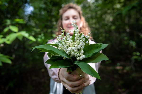 Vente du traditionnel brin de muguet du 1er mai.