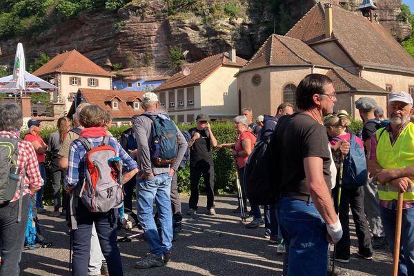 Environ 70 personnes ont répondu à l'appel de la famille de Jean-Jacques Hoffmann, porté disparu dans le secteur de Graufthal depuis le 14 mai.